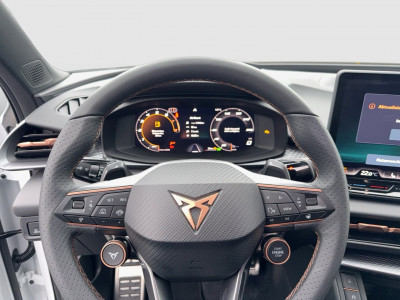 Cupra Terramar Gebrauchtwagen