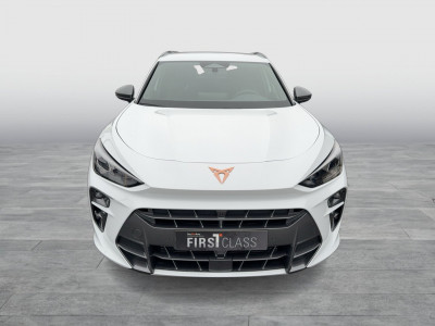 Cupra Terramar Gebrauchtwagen