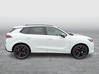 Cupra Terramar Gebrauchtwagen