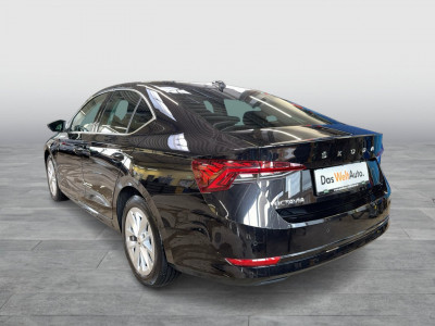 Skoda Octavia Gebrauchtwagen Skoda Octavia Gebrauchtwagen