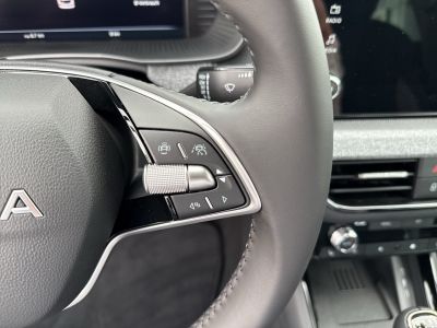 Skoda Kamiq Gebrauchtwagen Skoda Kamiq Gebrauchtwagen
