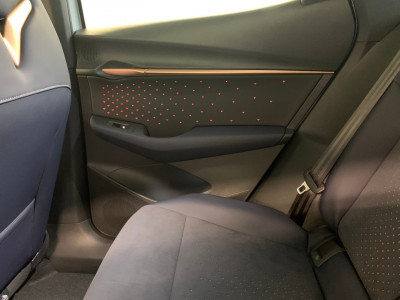 Cupra Tavascan Gebrauchtwagen