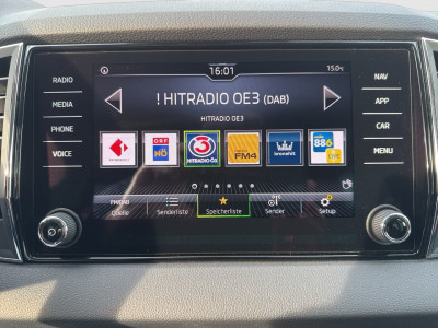 Skoda Karoq Gebrauchtwagen