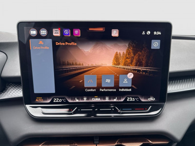 Cupra Terramar Gebrauchtwagen Cupra Terramar Gebrauchtwagen