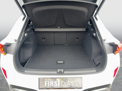 Cupra Terramar Gebrauchtwagen Cupra Terramar Gebrauchtwagen