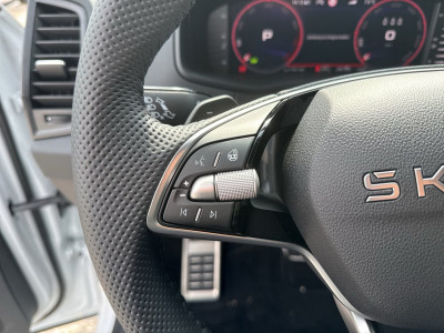 Skoda Karoq Gebrauchtwagen