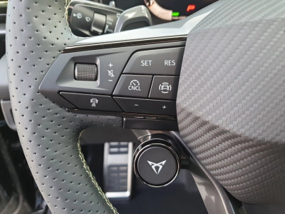 Cupra Terramar Gebrauchtwagen