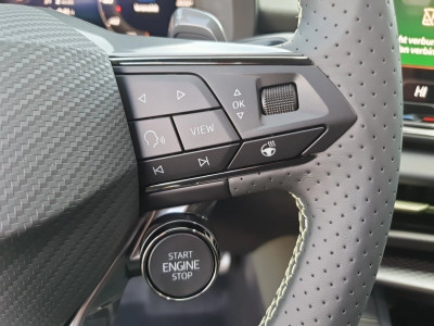 Cupra Terramar Gebrauchtwagen