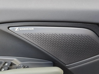 Cupra Terramar Gebrauchtwagen