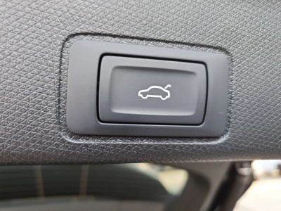 Cupra Terramar Gebrauchtwagen