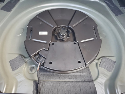 Cupra Terramar Gebrauchtwagen