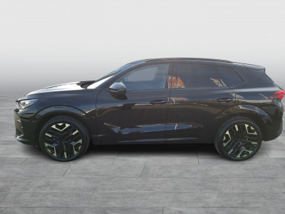 Cupra Terramar Gebrauchtwagen