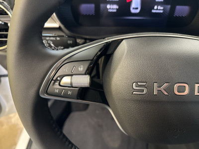 Skoda Fabia Gebrauchtwagen Skoda Fabia Gebrauchtwagen