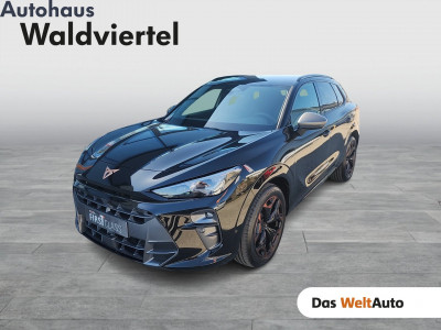 Cupra Terramar Gebrauchtwagen