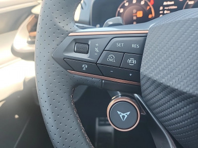 Cupra Terramar Gebrauchtwagen