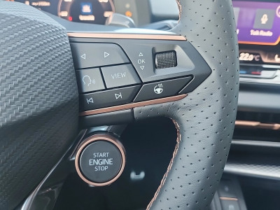 Cupra Terramar Gebrauchtwagen