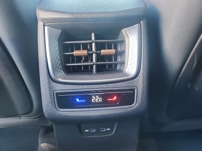 Cupra Terramar Gebrauchtwagen