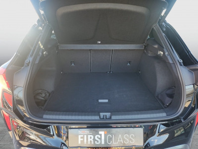 Cupra Terramar Gebrauchtwagen