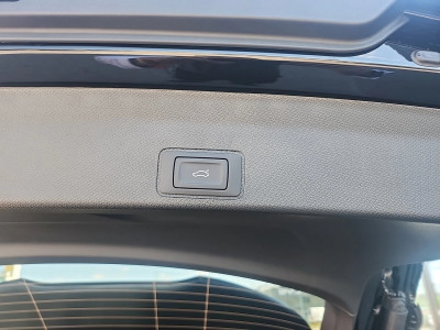 Cupra Terramar Gebrauchtwagen