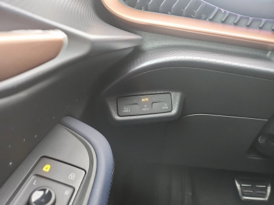 Cupra Tavascan Gebrauchtwagen