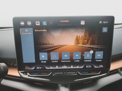 Cupra Tavascan Gebrauchtwagen