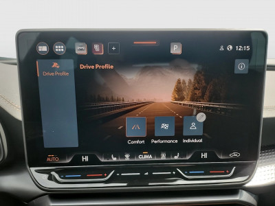 Cupra Formentor Gebrauchtwagen Cupra Formentor Gebrauchtwagen