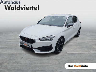 Cupra Leon Gebrauchtwagen