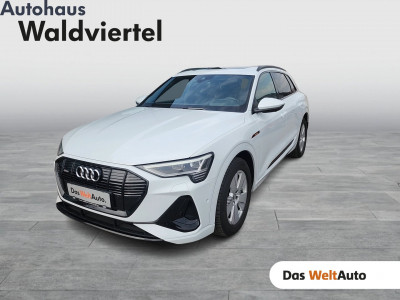 Audi e-tron Gebrauchtwagen