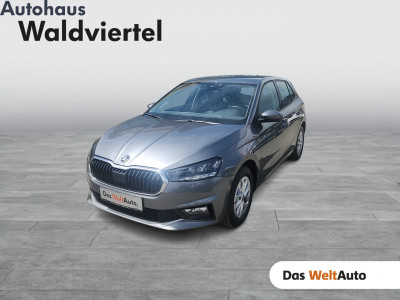 Skoda Fabia Gebrauchtwagen
