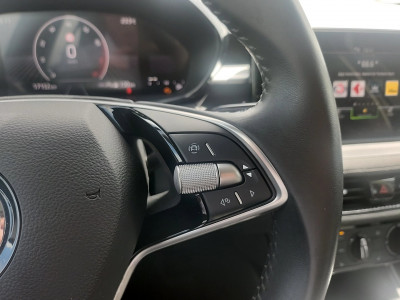 Skoda Fabia Gebrauchtwagen
