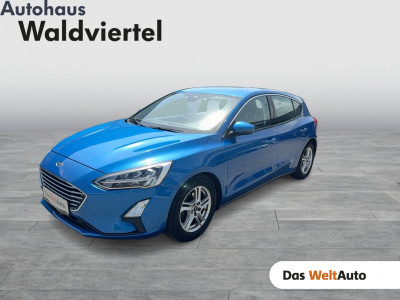 Ford Focus Gebrauchtwagen