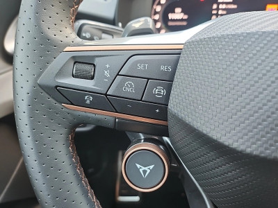 Cupra Terramar Gebrauchtwagen Cupra Terramar Gebrauchtwagen