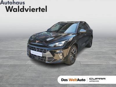 Cupra Terramar Gebrauchtwagen