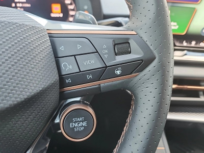 Cupra Terramar Gebrauchtwagen Cupra Terramar Gebrauchtwagen