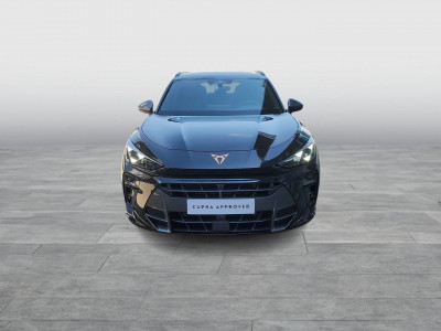 Cupra Terramar Gebrauchtwagen Cupra Terramar Gebrauchtwagen