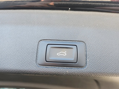 Cupra Terramar Gebrauchtwagen Cupra Terramar Gebrauchtwagen