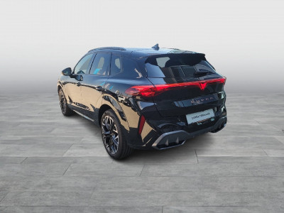 Cupra Terramar Gebrauchtwagen Cupra Terramar Gebrauchtwagen
