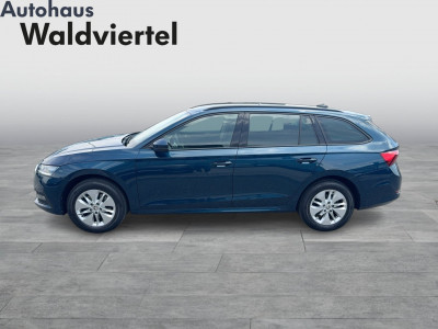 Skoda Octavia Gebrauchtwagen Skoda Octavia Gebrauchtwagen