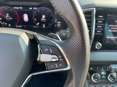 Skoda Karoq Gebrauchtwagen Skoda Karoq Gebrauchtwagen