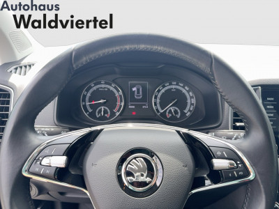 Skoda Karoq Gebrauchtwagen Skoda Karoq Gebrauchtwagen