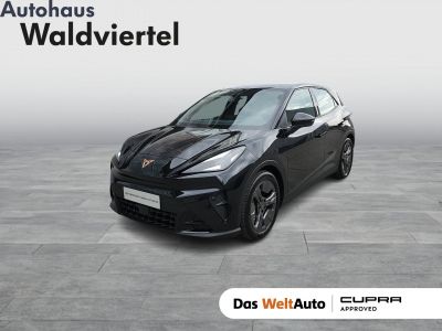 Cupra Raval Gebrauchtwagen Cupra Raval Gebrauchtwagen