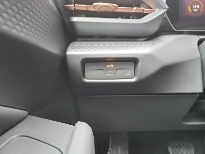 Cupra Raval Gebrauchtwagen Cupra Raval Gebrauchtwagen