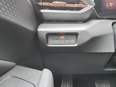 Cupra Raval Gebrauchtwagen