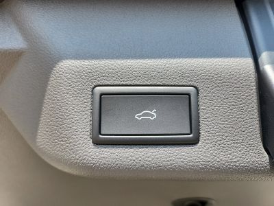 VW Multivan Gebrauchtwagen VW Multivan Gebrauchtwagen