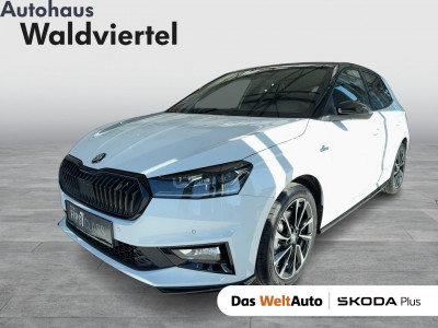Skoda Fabia Gebrauchtwagen Skoda Fabia Gebrauchtwagen