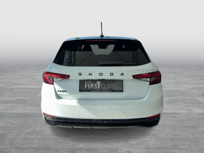 Skoda Fabia Gebrauchtwagen Skoda Fabia Gebrauchtwagen