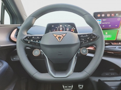 Cupra Tavascan Gebrauchtwagen Cupra Tavascan Gebrauchtwagen