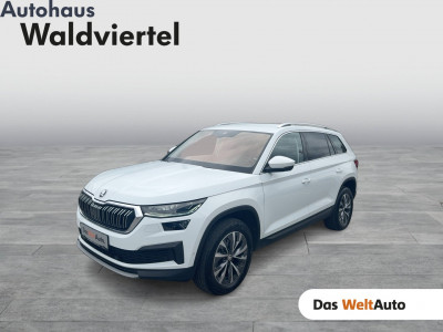 Skoda Kodiaq Gebrauchtwagen Skoda Kodiaq Gebrauchtwagen