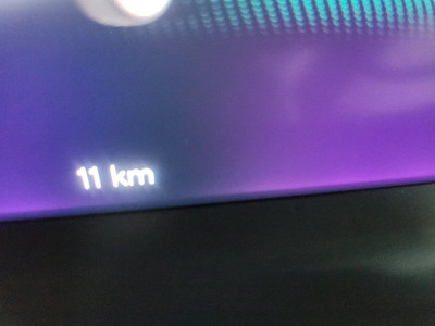 Cupra Terramar Gebrauchtwagen