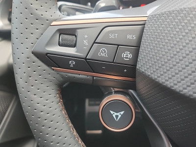 Cupra Terramar Gebrauchtwagen